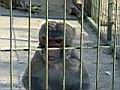 Resize of DSC00136.jpg
